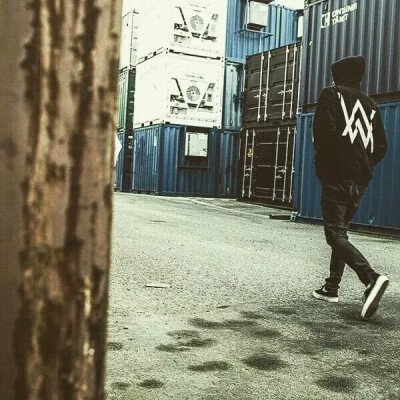 alan walker
