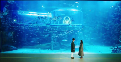 蓝色大海的传说❤