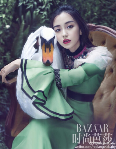 Angelababy 杨颖高清美图壁纸写真
偶像 明星 爱豆壁纸 摄影