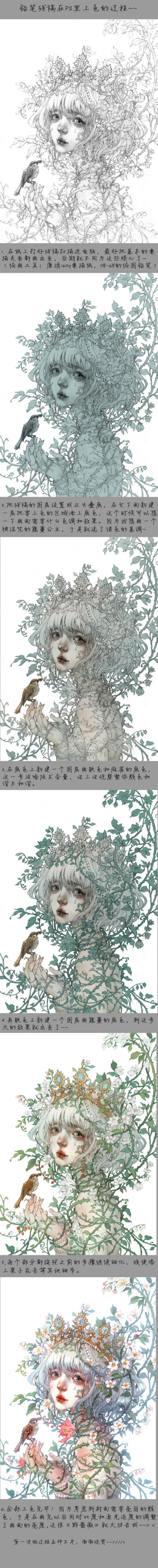 〔 野蔷薇过程图 〕作者' 古戈力 °