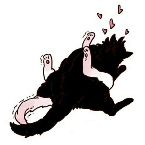 情侣 动漫 漫画 搞怪 可爱 猫猫 萌系头像