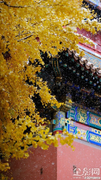 冬