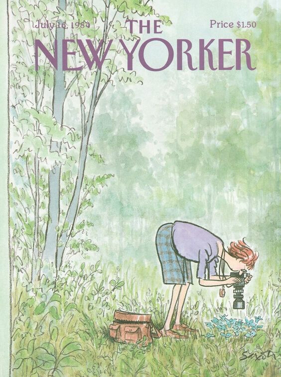 The New Yorker - Monday, July 16, 1984 - Cover by : Charles Saxon