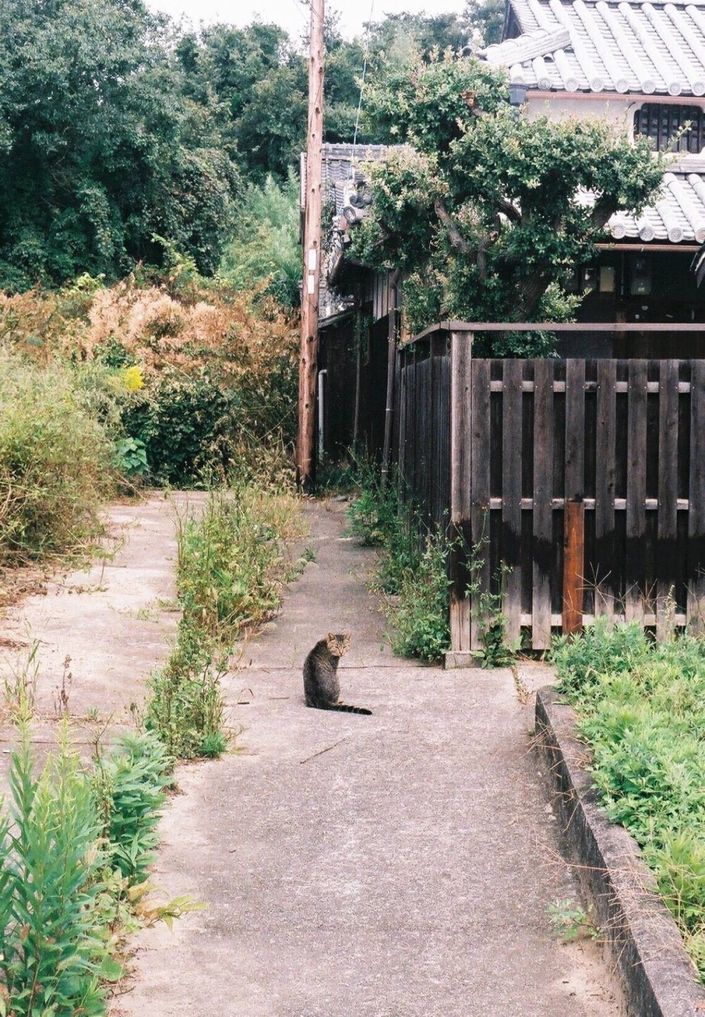 京都