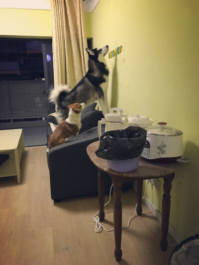 两兄弟为了只苍蝇……