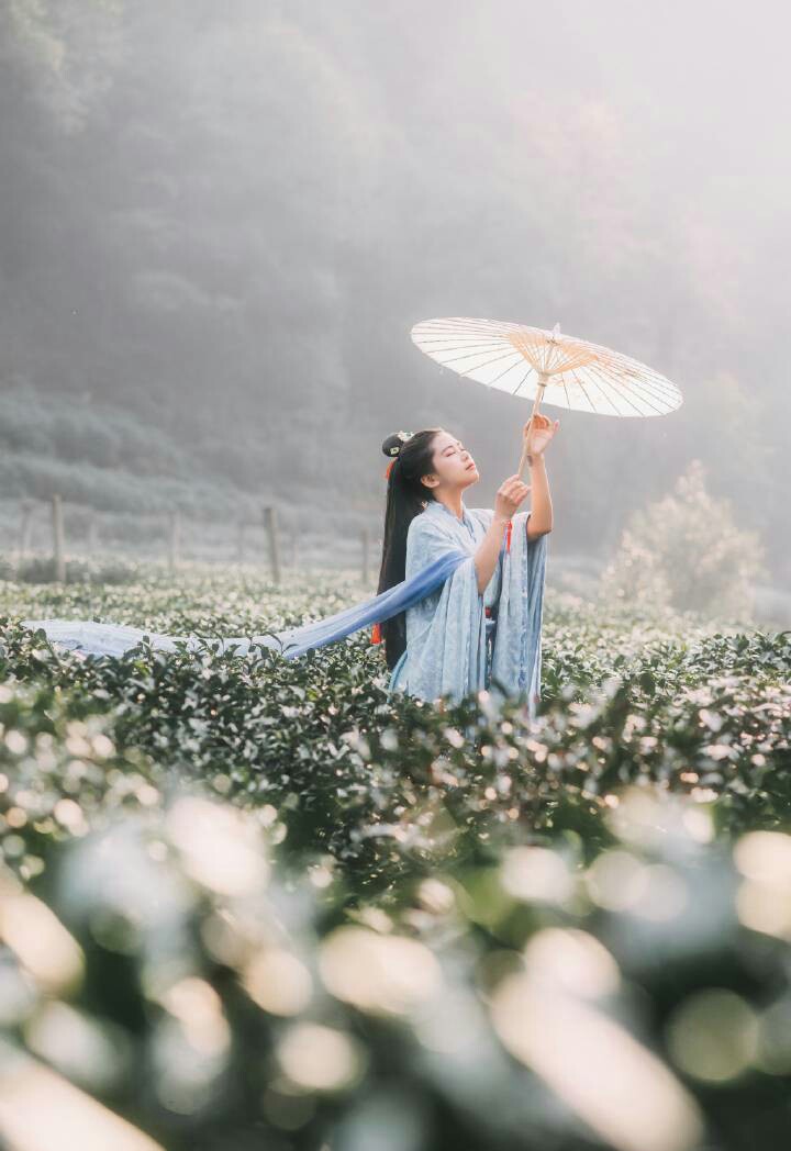 花鸟风月