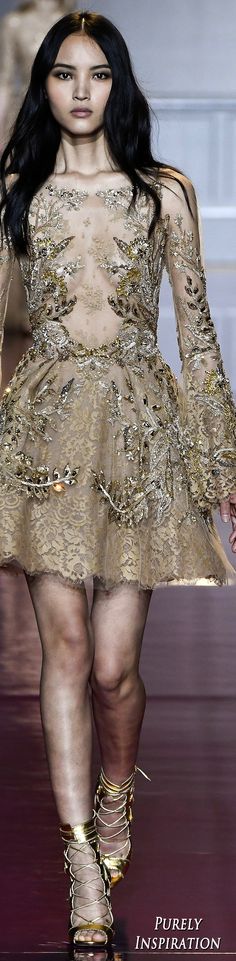 Zuhair Murad Fall 2016 Couture Fashion Show