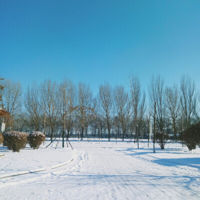 那天雪后，阳光正好，天空正蓝。