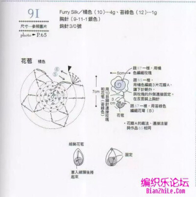 91花苞图解