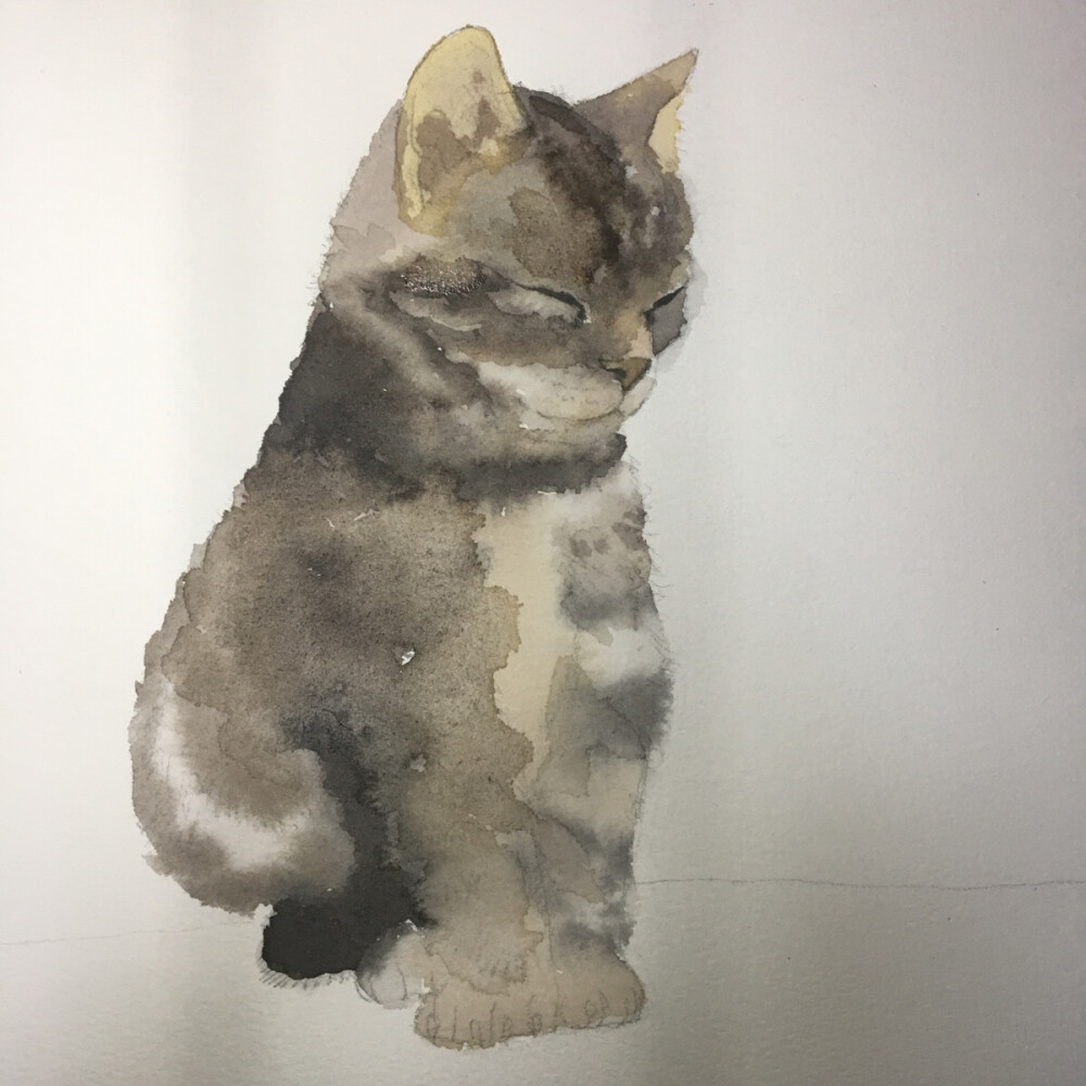 水彩画# 猫咪# 插画# 手绘# 萌物。