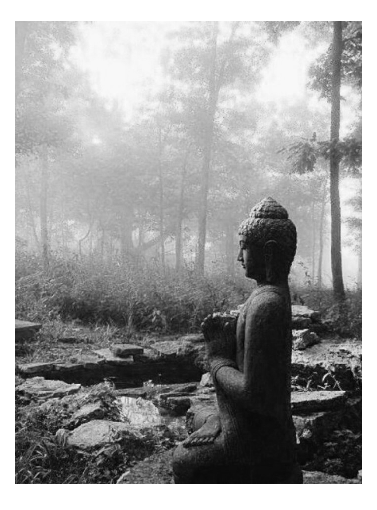 电纸书锁屏壁纸