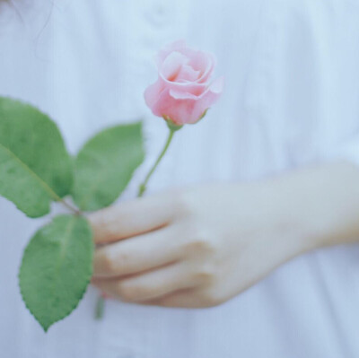 没有风的日子，云是雨的守望；没有梦的日子，等待会荒废时光。