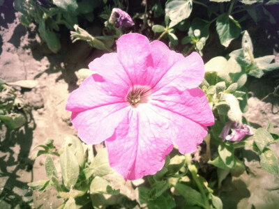 我们总是像智者一样劝慰别人，却像傻子一样告慰自己。