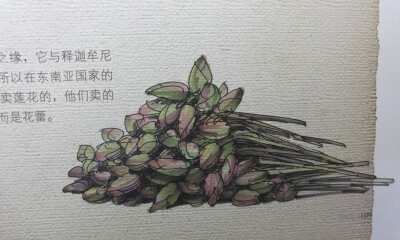 夏克梁边走边画