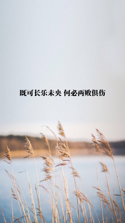 原创 自制 壁纸 背景 文字 禁止加水印修改