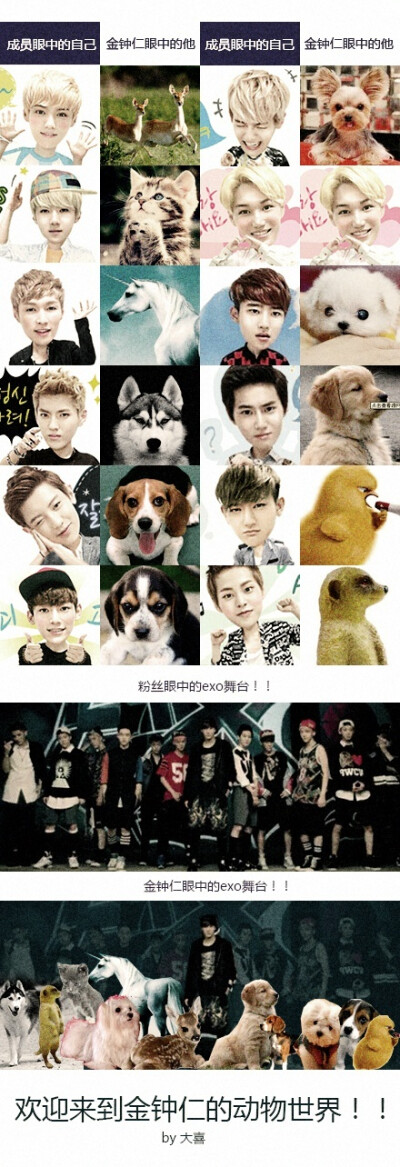 真的是。。。
SOHO . Kai . Chan . XiuMin . BackHyun . Chanyeol . LuHan .
Tao . Kris . SeHun . D.O. Lay¥
