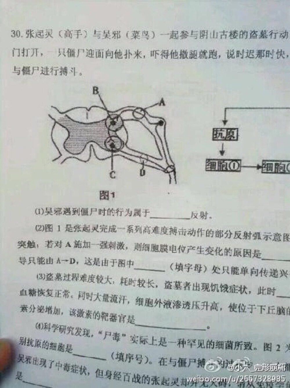 如果卷子上真的有这题 跪着也要做完啊