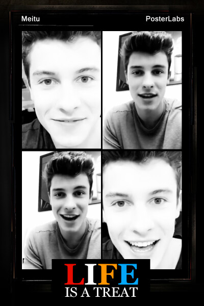 shawn mendes