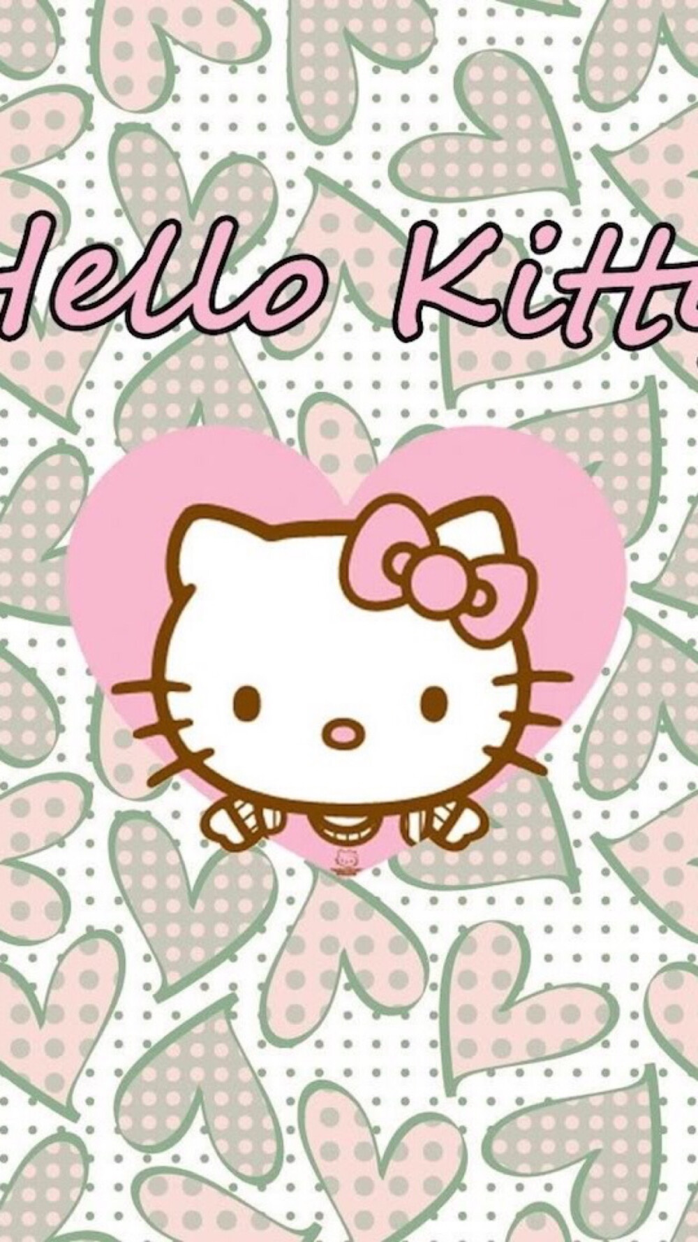 新新 Holle Kitty 猫