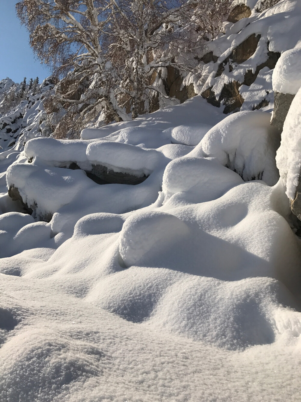 冬雪