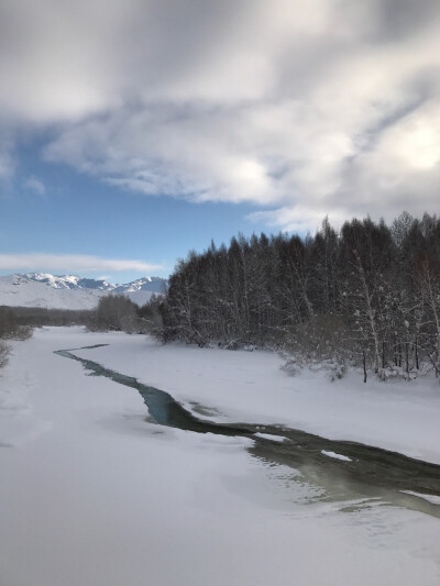 冬雪