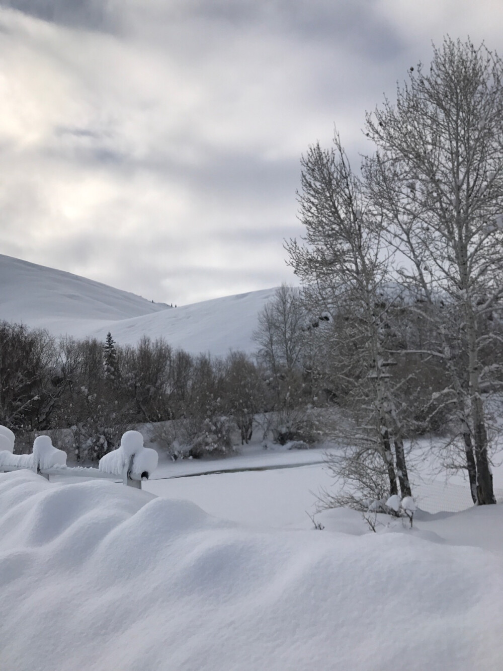 冬雪