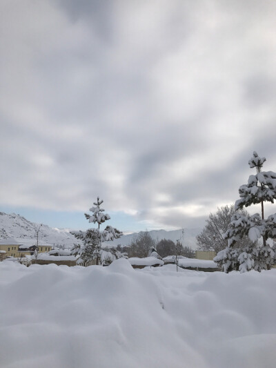 冬雪