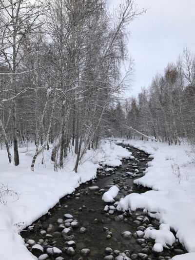 雪后的清晨