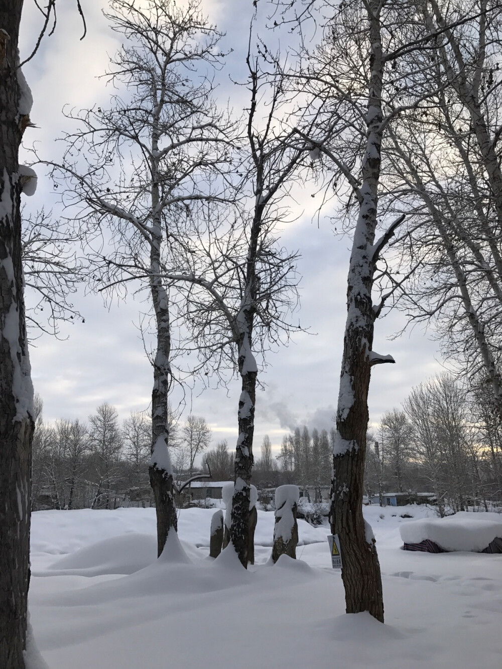 雪后的清晨