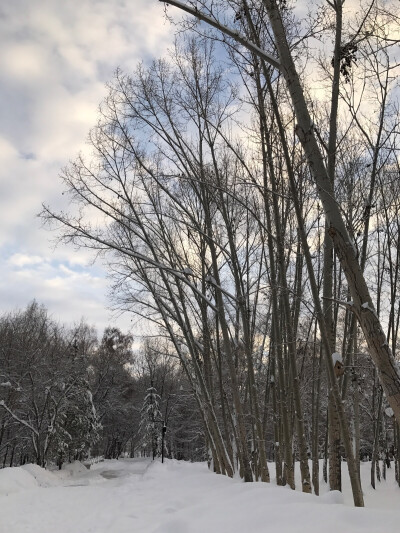 雪后的清晨