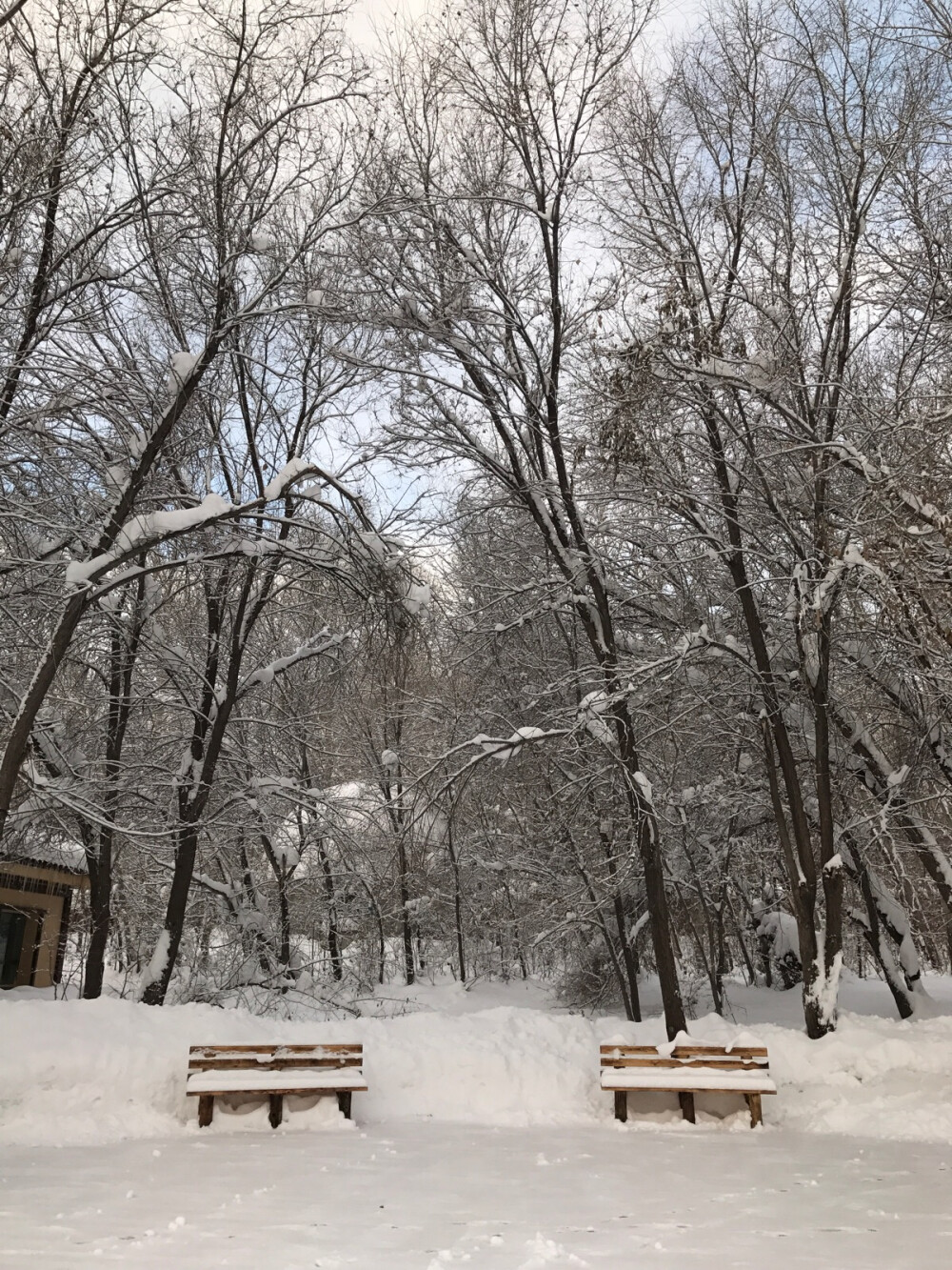 雪后的清晨