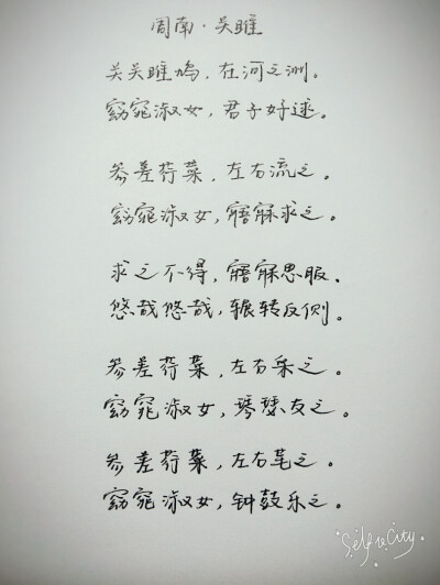 周南·关雎 原创手写 by叶骼