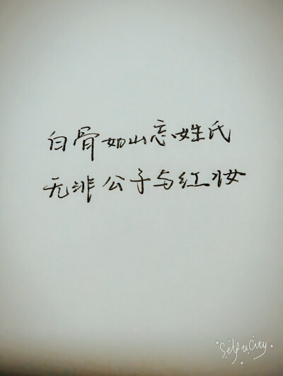 红楼 原创手写 by叶骼