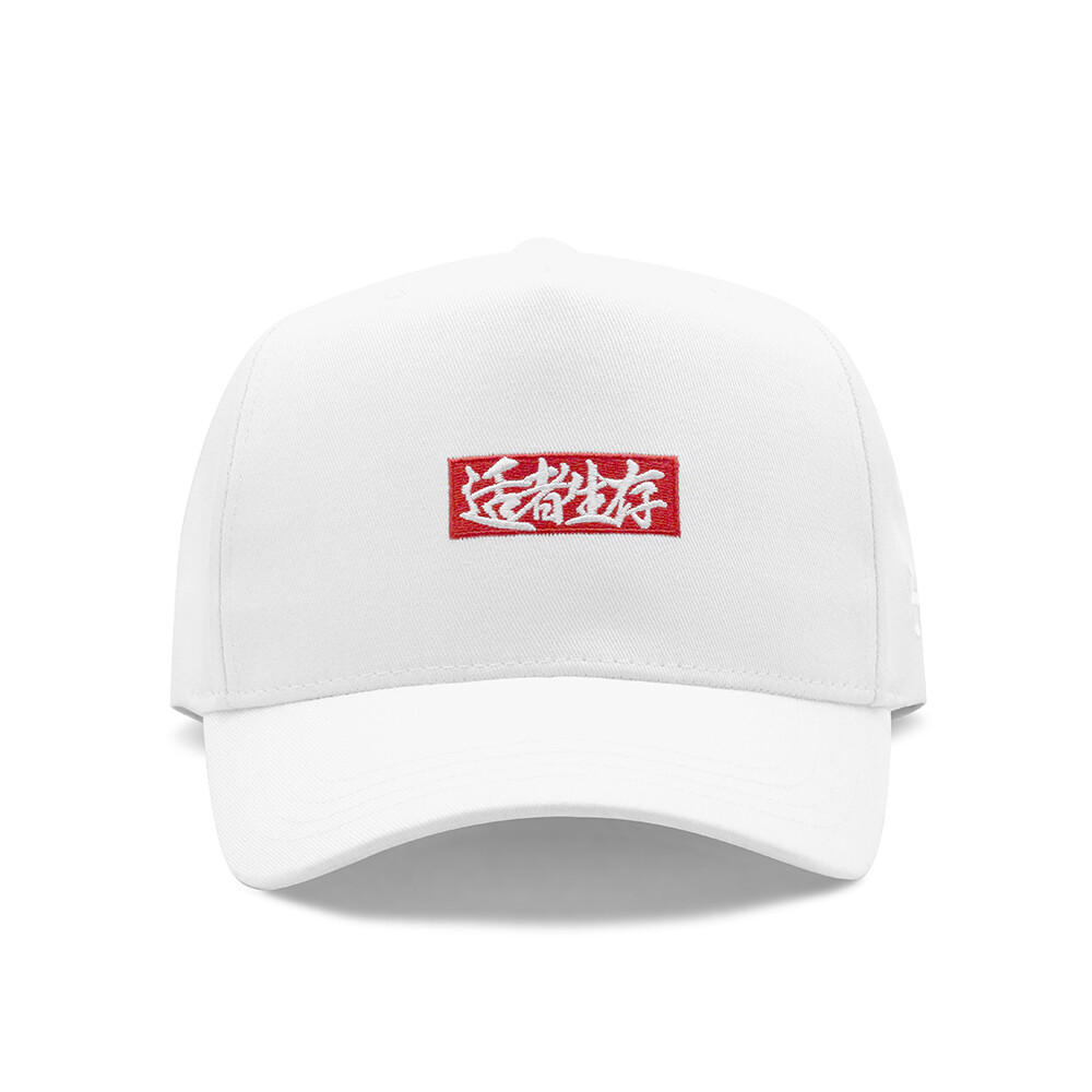 STRETAG 适者生存 白色 BLEACH 刺绣 可调节 弯檐棒球帽 dad hats