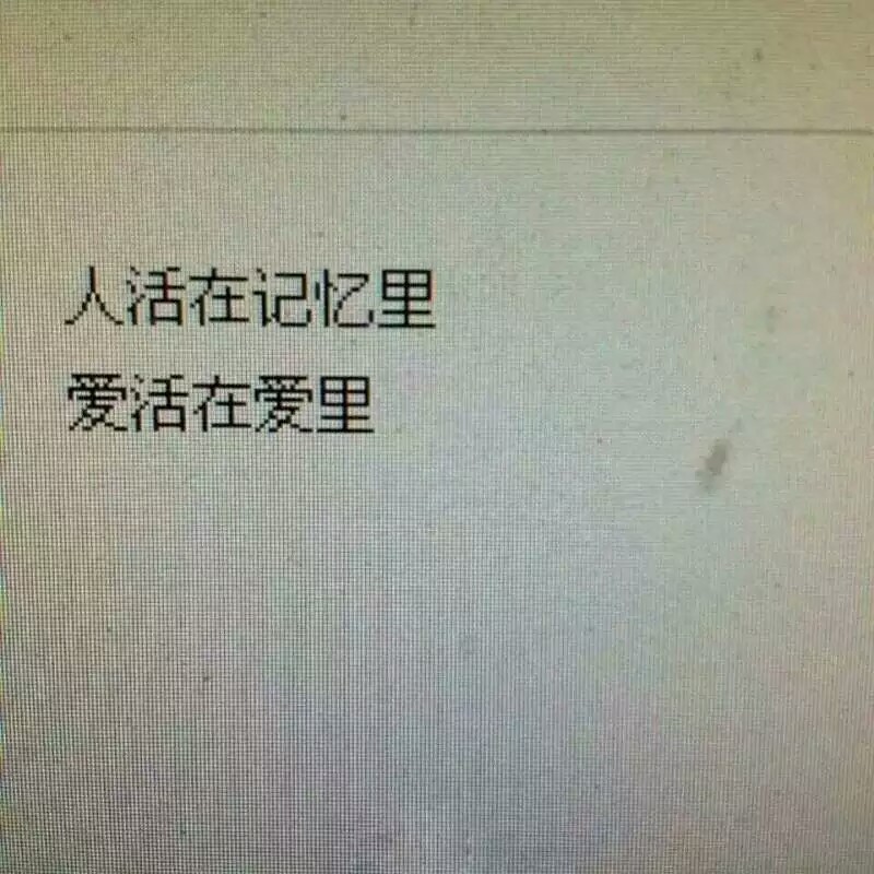 波比の 主页图 键盘壁纸 高清背景 INS objects极简