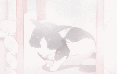 “你的小猫叫什么名字”【gif.】by清茶半打 图片源自网络侵删致歉 cr.logo”