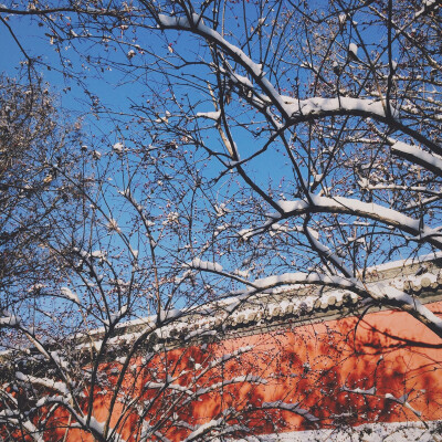 北陵公园雪后。