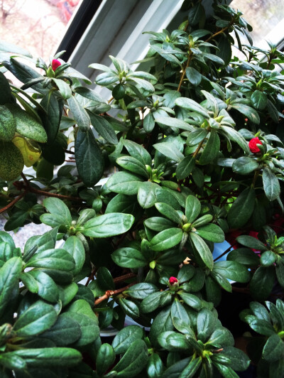 无论那种生活，只要告别懒惰，也许就能幸福起来