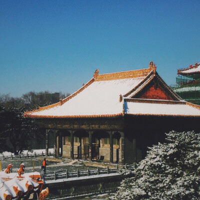 沈阳北陵公园，雪后的好天气。