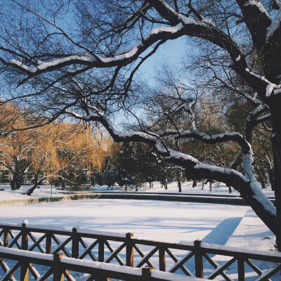 南湖公园雪景。