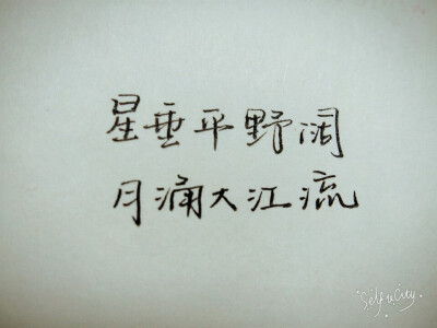 星垂平野阔，月涌大江流。 手写原创 by叶骼
