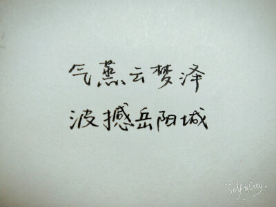 气蒸云梦泽，波撼岳阳城。 手写原创 by叶骼