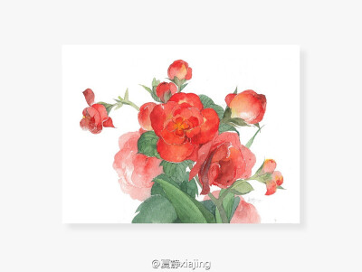 花开不同赏，花落不同悲，若问相思处，花开花落时
【作者】夏静