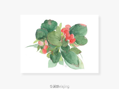 花开不同赏，花落不同悲，若问相思处，花开花落时
【作者】夏静