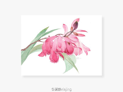 花开不同赏，花落不同悲，若问相思处，花开花落时
【作者】夏静