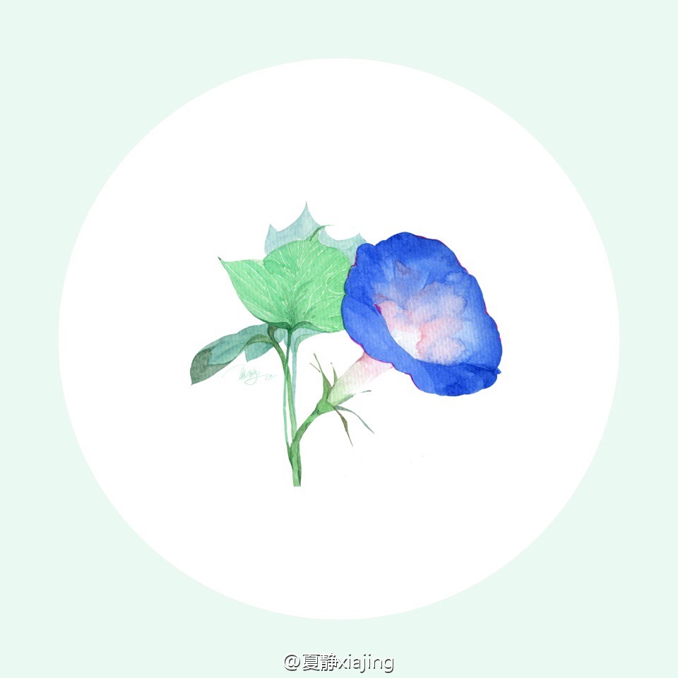 花开不同赏，花落不同悲，若问相思处，花开花落时
【作者】夏静