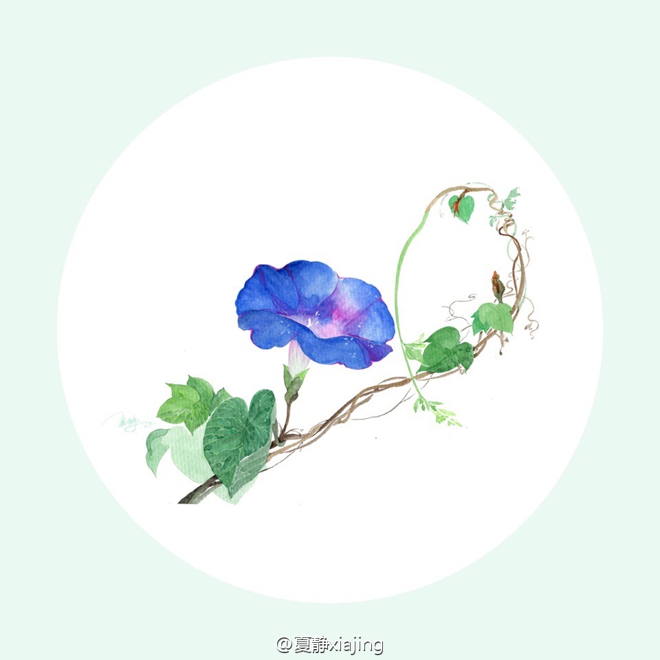 花开不同赏，花落不同悲，若问相思处，花开花落时
【作者】夏静