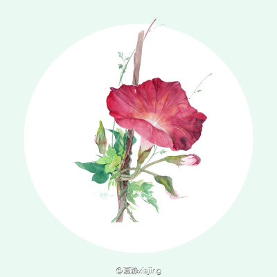 花开不同赏，花落不同悲，若问相思处，花开花落时
【作者】夏静