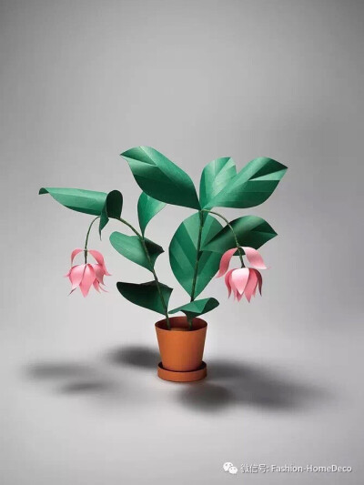 剪纸插画艺术家Agnes Cecilia