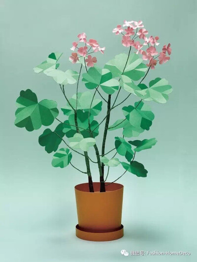 剪纸插画艺术家Agnes Cecilia